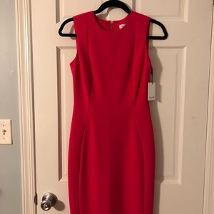 Calvin Klein Scuba Dress